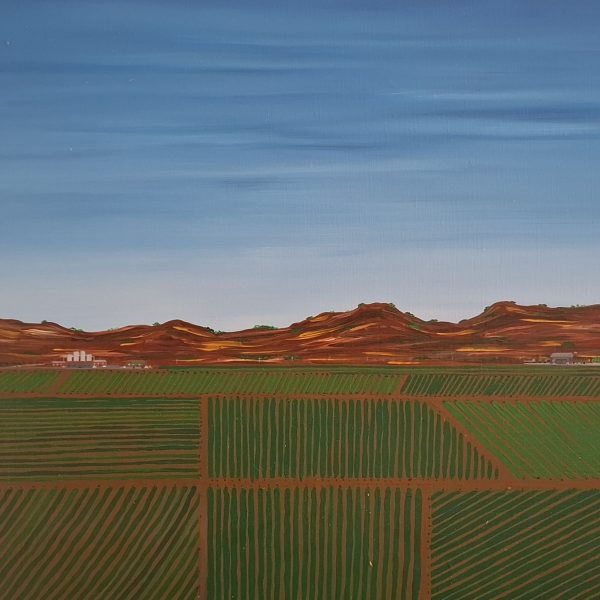 Barossa valley